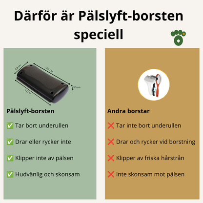 Pälslyft-borsten – för en gladare hund och ett renare hem