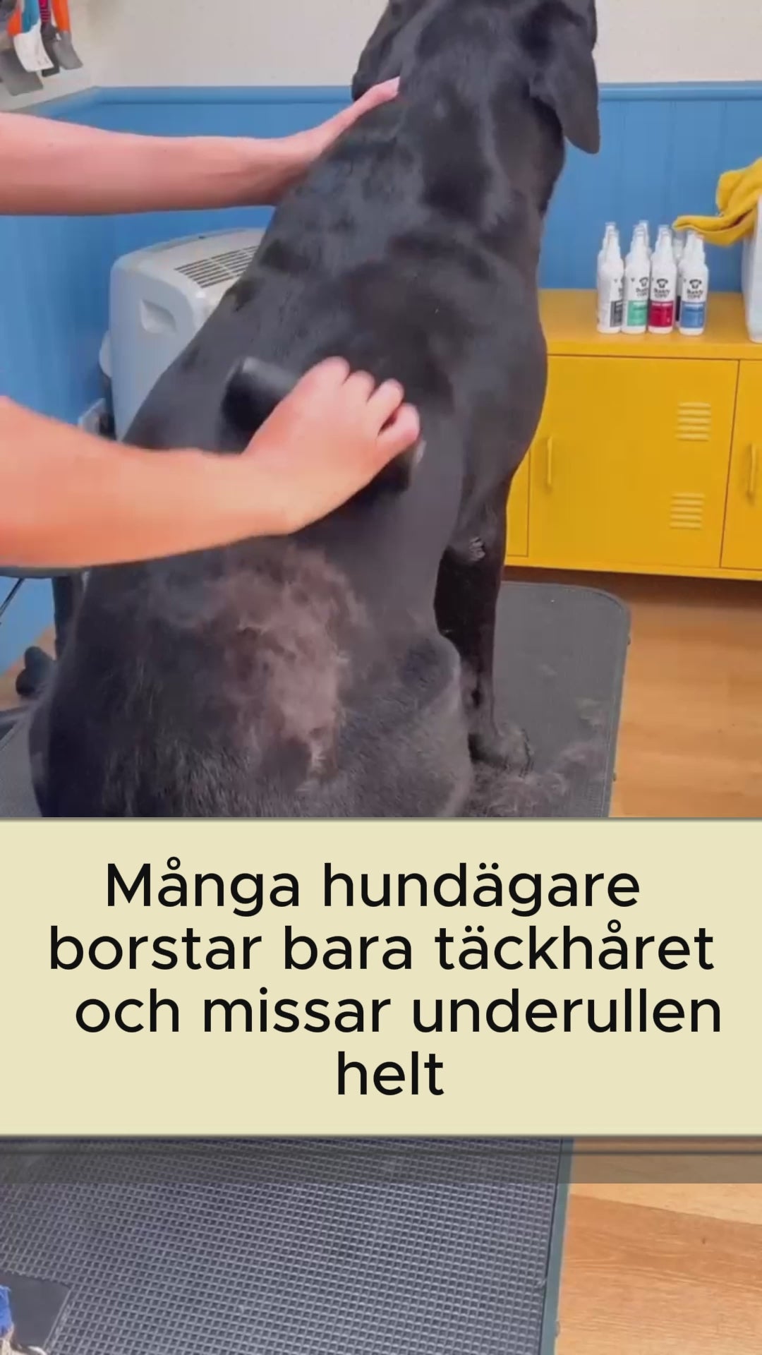 Ladda video: 